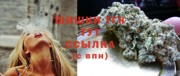 прущие грибы Богородск