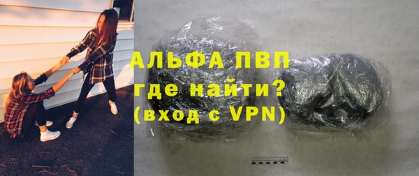 прущие грибы Богородск