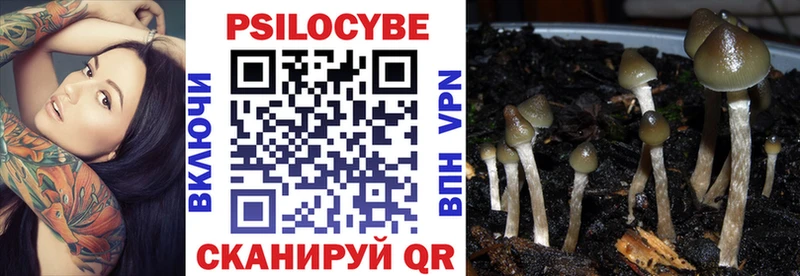 Псилоцибиновые грибы Psilocybine cubensis KRAKEN маркетплейс Йошкар-Ола